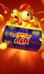 Chicken Coin