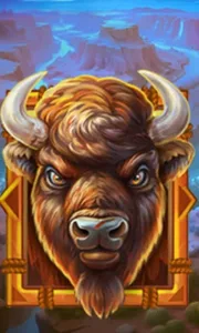 Buffalo Gold Canyon